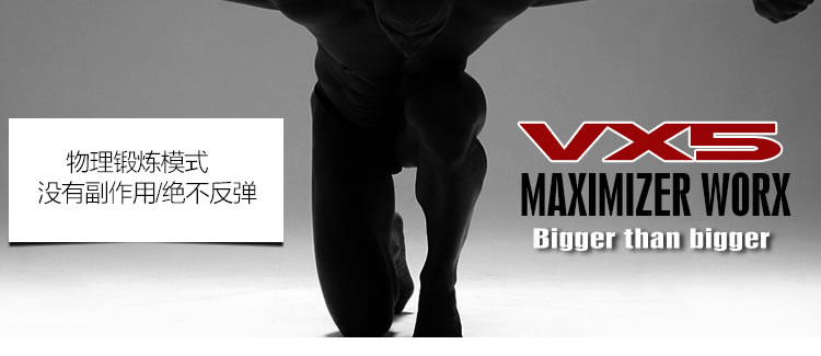 Lovetoy充电电动真空助勃器配阴部倒模