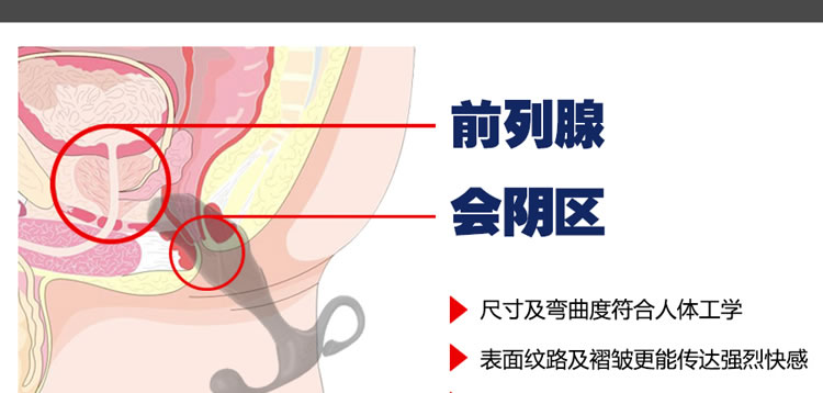 ZINI杰纳斯蓝朴前列腺男用按摩器