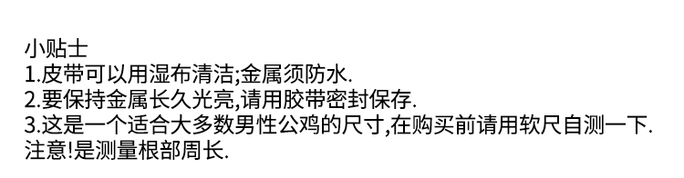 柳钉公鸡戒指皮带 阴茎束缚器 阳具套环 JJ环 男用情趣用品